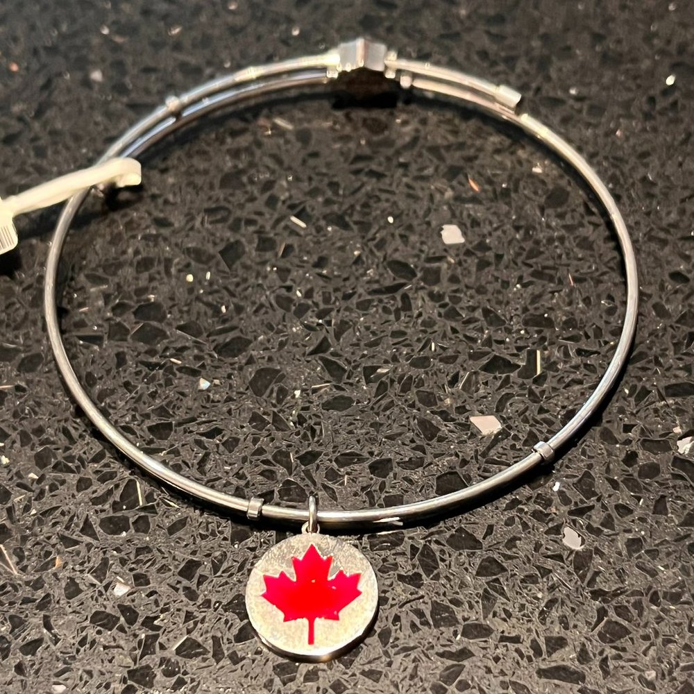 HARLEY DAVIDSON STAINLESS STEEL LADIES CANADIAN MAPLE LEAF BANGLE BRACELET